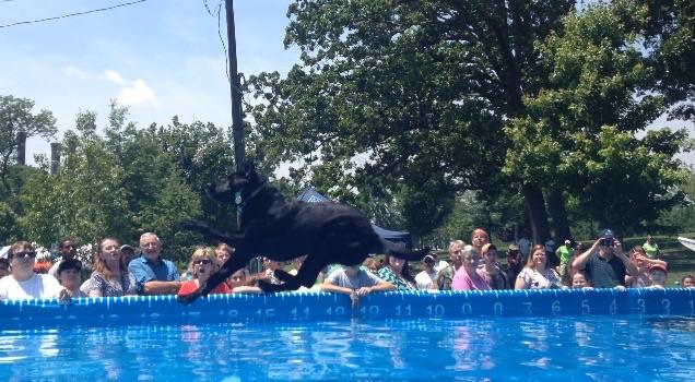 One of the Carolina DockDogs jumping in the second round of competition 