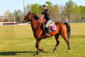 Ms. Brown shows the different gaits of a horse with her horse, Comet.