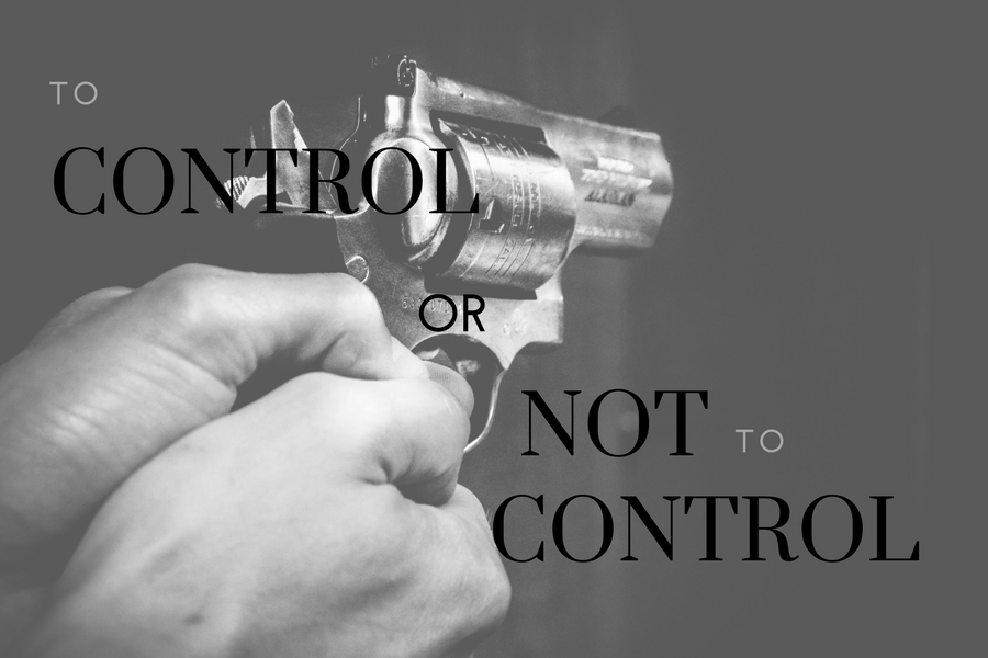 To control or not to control: the debate on firearm usage