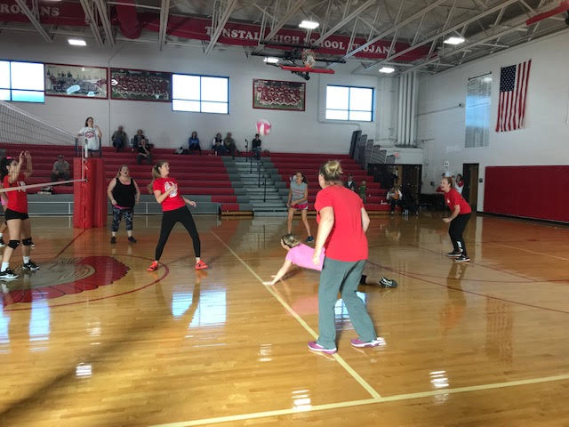 Dig Pink game held to raise money for cancer research