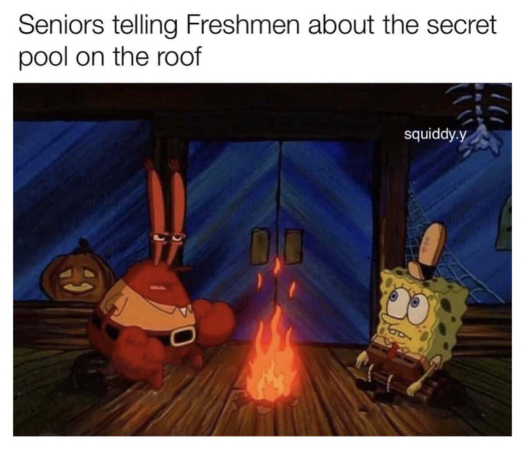 One+of+many+popular+Spongebob+memes+students+share+on+social+media.