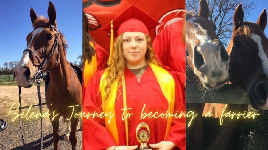 Selenas journey to becoming a farrier