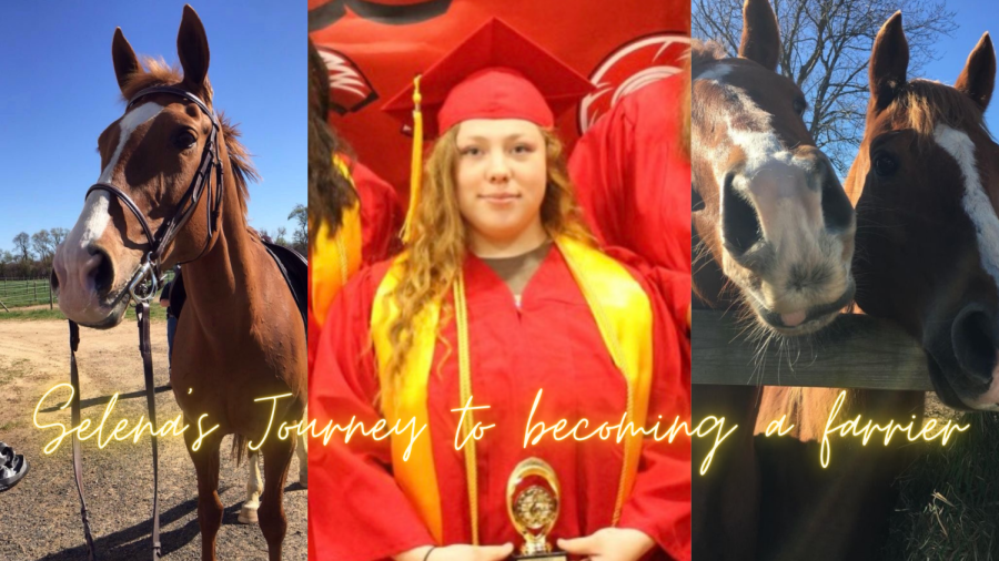 Selenas+journey+to+becoming+a+farrier