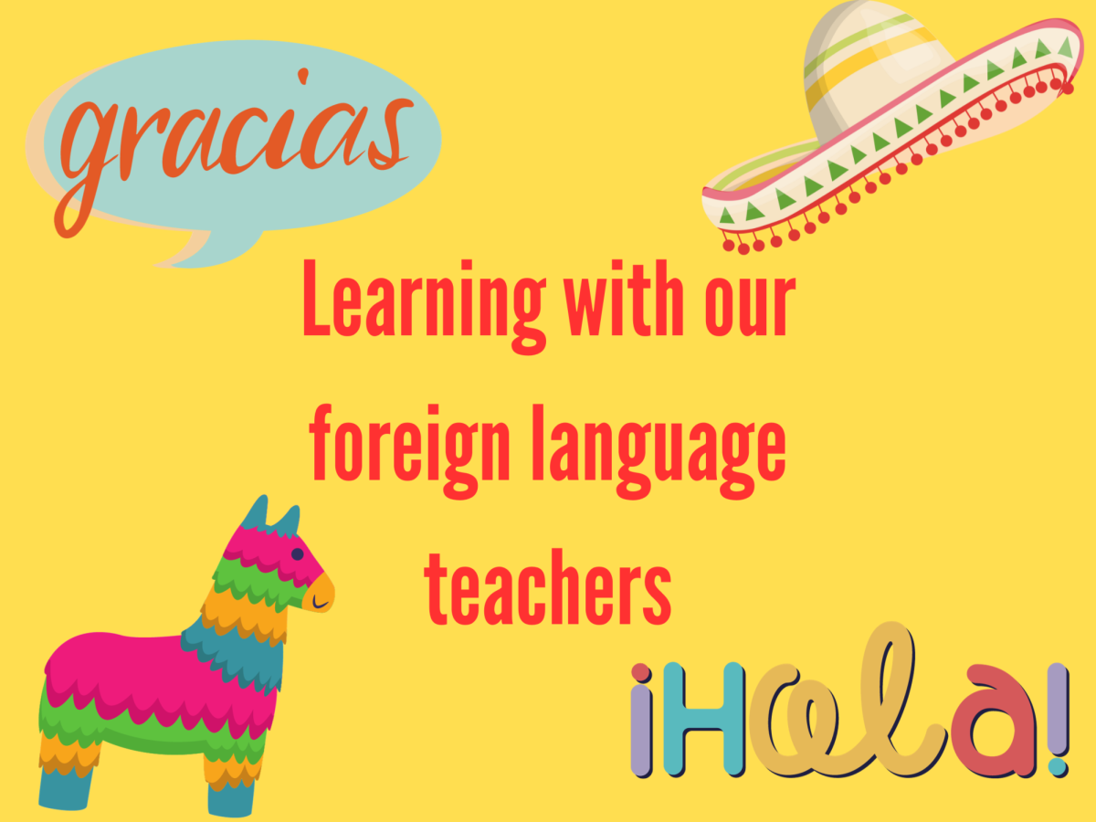 Learning with our foreign language teachers