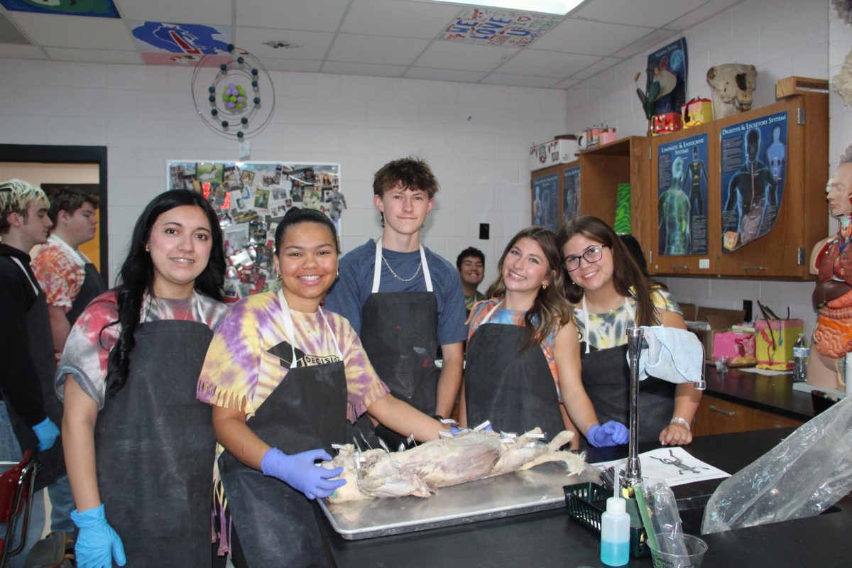 Student's dissecting cats in Mrs. Kirby's class. 